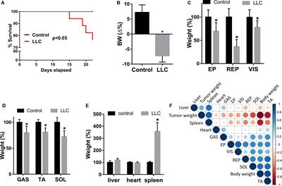 MicroRNA-mRNA Co-sequencing Identifies Transcriptional and Post-transcriptional Regulatory Networks Underlying Muscle Wasting in Cancer Cachexia